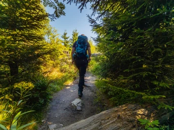 Wanderer geht über Wurzeln und Steine im Wald Wanderer geht über Wurzeln und Steine im Wald