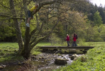 Wanderer überqueren eine Brücke über einen Bach in Willingen Wanderer überqueren eine Brücke über einen Bach in Willingen
