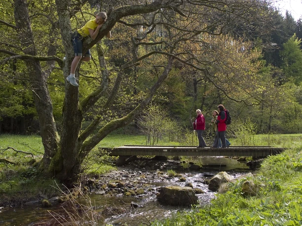 Wanderer überqueren eine Brücke über einen Bach in Willingen Wanderer überqueren eine Brücke über einen Bach in Willingen