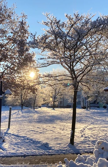 Gesundheitspavillon Willingen in verschneiter Winterlandschaft bei Sonnenschein Gesundheitspavillon Willingen in verschneiter Winterlandschaft bei Sonnenschein