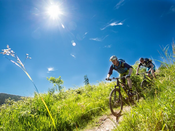 Mountainbiker fahren durch Wiese bergab bei schönem Sommerwetter Mountainbiker fahren durch Wiese bergab bei schönem Sommerwetter