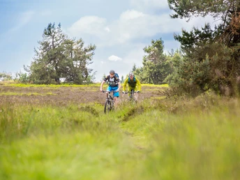 Mountainbiker fahren durch Heidelandschaft Mountainbiker fahren durch Heidelandschaft