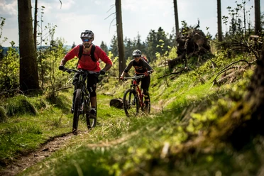 2 Mountainbiker fahren am Wald entlang 2 Mountainbiker fahren am Wald entlang