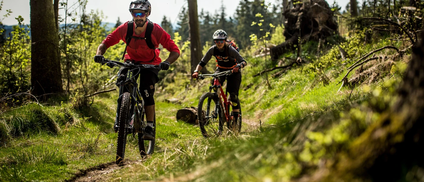 2 Mountainbiker fahren am Wald entlang 2 Mountainbiker fahren am Wald entlang