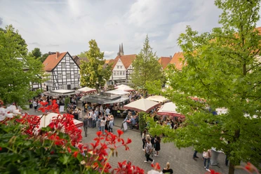 Soester Winzermarkt 2023