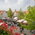 Soester Winzermarkt 2023