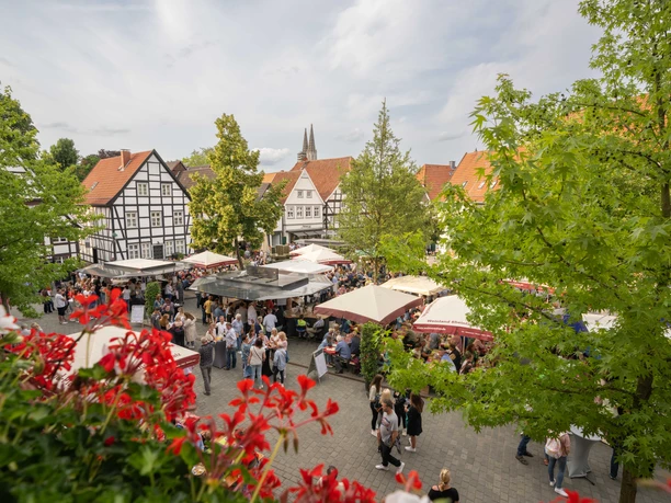 Soester Winzermarkt 2023