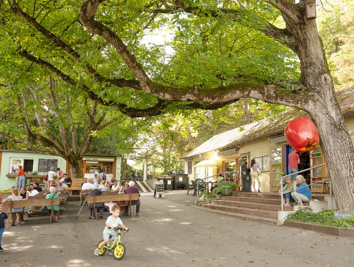 Lohrberg mit MainÄppelHaus