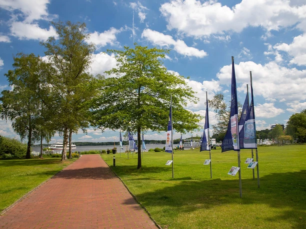 goldenes-segel-bad-zwischenahn.jpg Ein Weg im Kurpark Bad Zwischenahn, gesäumt von Ausstellungsfahnen auf einer Wiese am See.