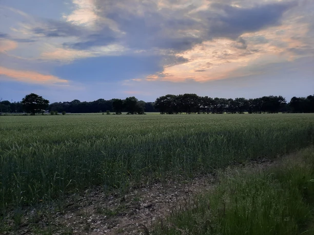 Heuerhaus Gut Einhaus