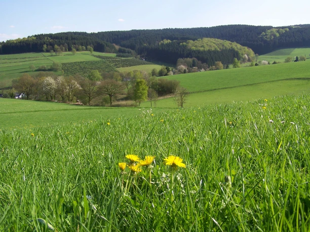A3 oberhalb von Herpel.jpg