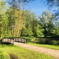 Brücke im idyllischen Klosterpark