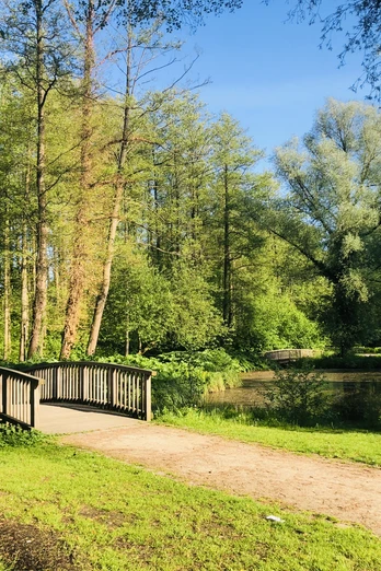 Brücke im idyllischen Klosterpark