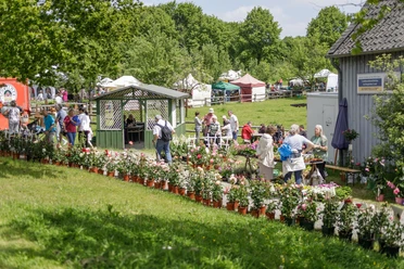 "Jrön un Jedön" Blumenmesse mit zahlendem Publikum; viele Pflanzen in Töpfen, Zelte und Menschen im Park.