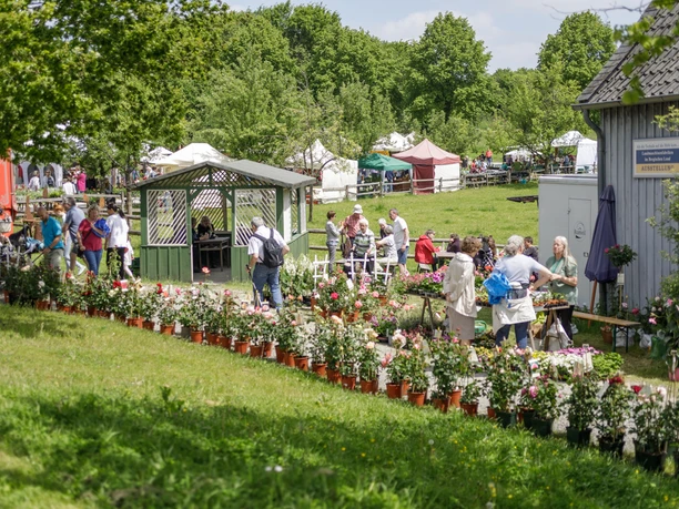 "Jrön un Jedön" Blumenmesse mit zahlendem Publikum; viele Pflanzen in Töpfen, Zelte und Menschen im Park.