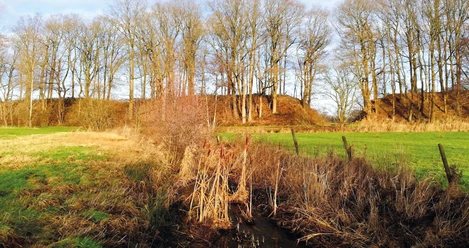 Bahndamm Hinschenmoorautal