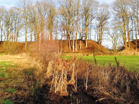 Bahndamm Hinschenmoorautal