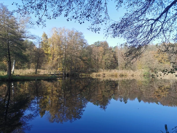 Visvijvers in Ventschau