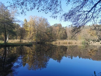Fischteiche in Ventschau Fischteiche in Ventschau