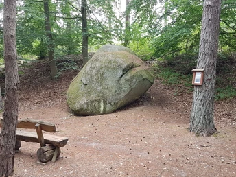 Felsbrocken Findling Ventschau Felsbrocken Findling VentschauBoulder Ventschau boulderrocher bloc erratique Ventschau