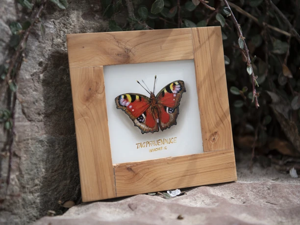 Hinterglasmalerei Dichtl Holzgerahmtes Bild eines Tagpfauenauges, lehnt an einem Stein mit Pflanzen.