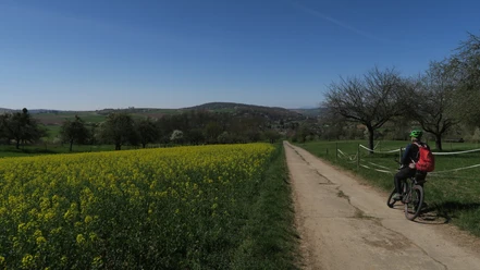 Ausblick zum Glauberg