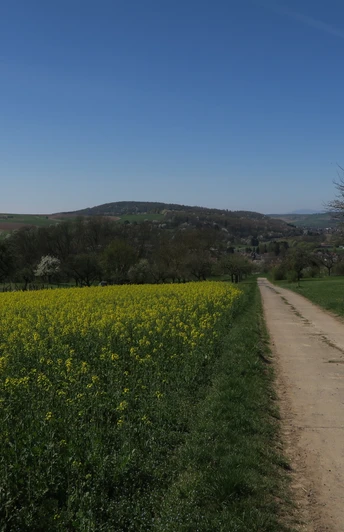 Ausblick zum Glauberg