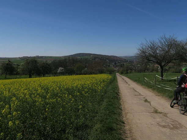 Ausblick zum Glauberg