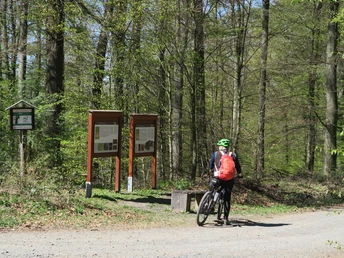 Kreuzung Bettenradweg - Keltenroute