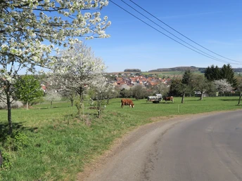 Bettenradweg bei Gedern-Wenings