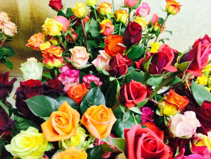 Weggis roses Weggiser RosenWeggis rosesRoses de Weggis