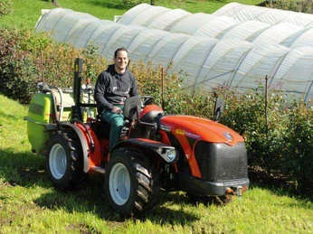 Weggis roses Weggiser RosenWeggis rosesRoses de Weggis