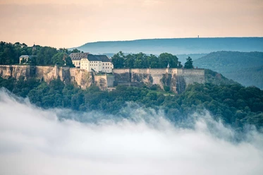Königstein fortress The historic Königstein Fortress sits enthroned on a wooded hill, surrounded by mist, under a gently overcast sky.