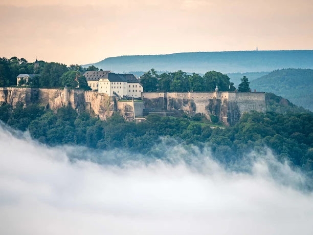 Königstein fortress The historic Königstein Fortress sits enthroned on a wooded hill, surrounded by mist, under a gently overcast sky.