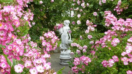 Rosenhaven-Frederiksgård_Haveskulpturen_i_et_væld_af_lyserødt
