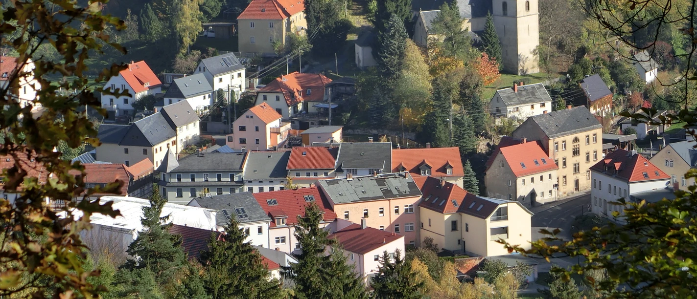 Bird's eye view of Bad Gottleuba surrounded by autumnal trees, with a central church.