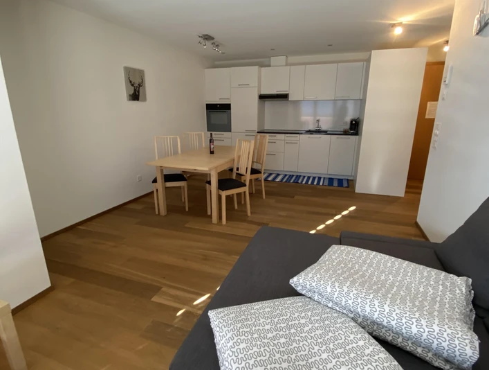 Wohnraum/Küche Alpenrose