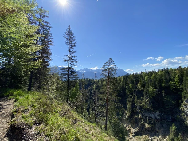 oberhalb der Finzklamm mit Karwendelblick