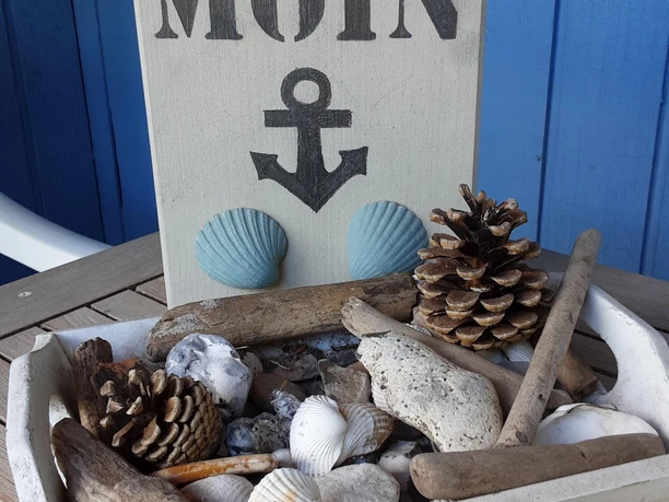 Moin Moin