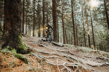 Bike park in Hahnenklee Bike park in Hahnenklee