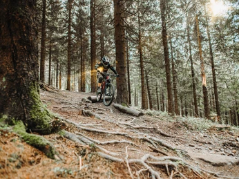 Bikepark in Hahnenklee Bikepark in HahnenkleeBike park in HahnenkleeFietspark in HahnenkleeCykelpark i Hahnenklee