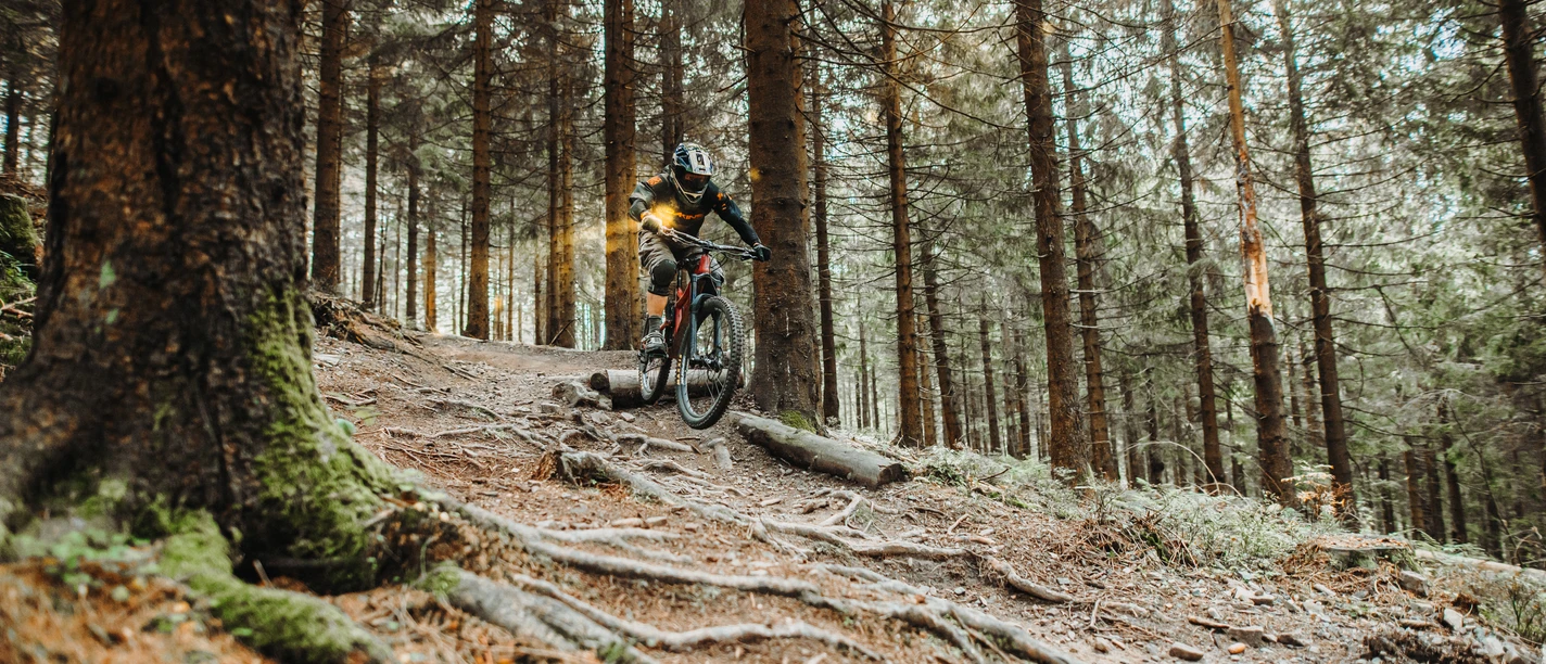 Cykelpark i Hahnenklee Cykelpark i Hahnenklee