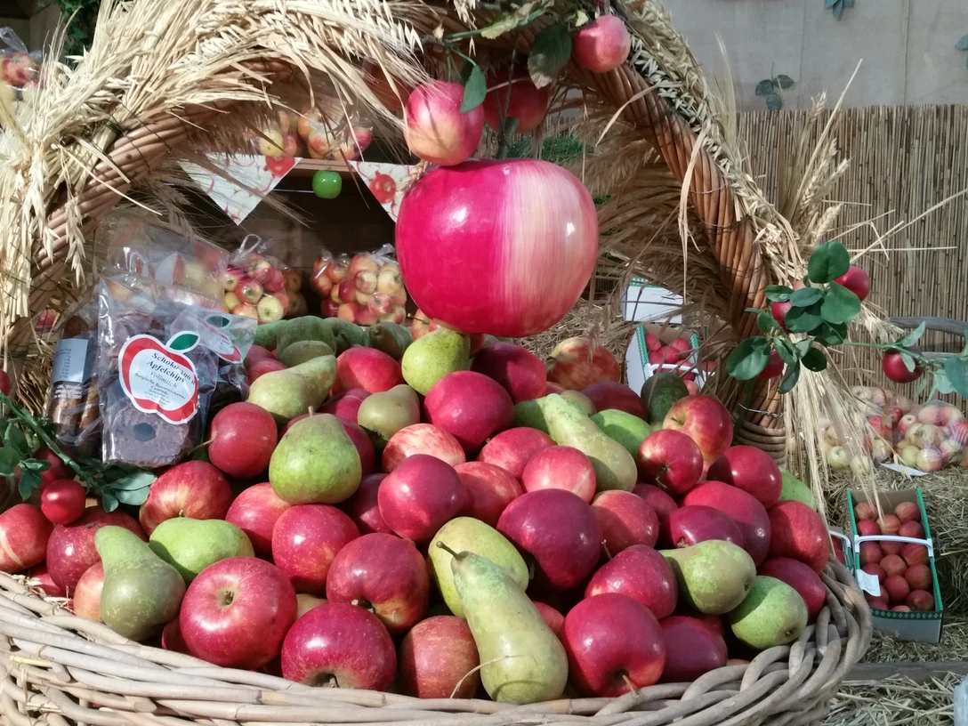 Symbolbild: Äpfel aus dem Bergischen Land Ein großer Korb voller roter Äpfel und Birnen, dekoriert mit Stroh, steht in einem rustikalen Marktstand.