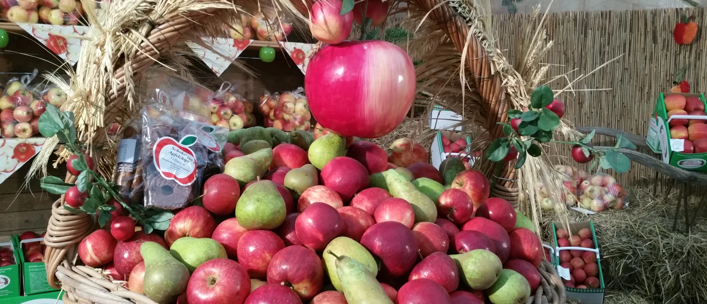 Symbolbild: Äpfel aus dem Bergischen Land Ein großer Korb voller roter Äpfel und Birnen, dekoriert mit Stroh, steht in einem rustikalen Marktstand.