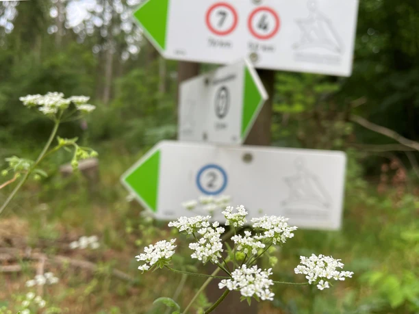 Wanderwegweiser im Rießel bei Bad Bevensen