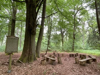 Rießelmanns Kuhle im Rießel bei Bad Bevensen