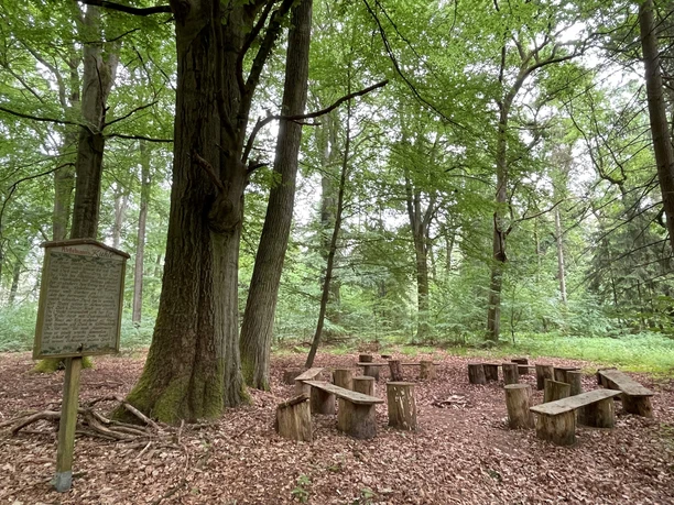 Rießelmanns Kuhle im Rießel bei Bad Bevensen