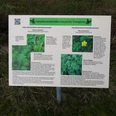 Heilpflanzenlehrpfad Informationstafel