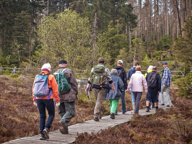 Spaziergang_in_der_Wildnis