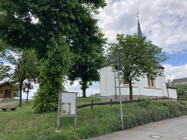 Sagenpfad in Sendschotten Sagenpfad in Sendschotten
